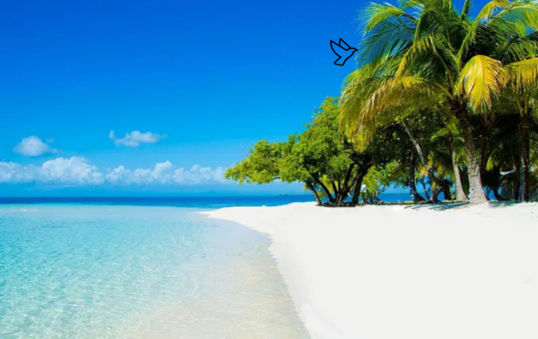 Product and Service Catalog Website (11)