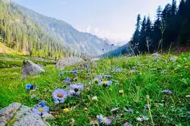 Islamabad to Malam Jabba